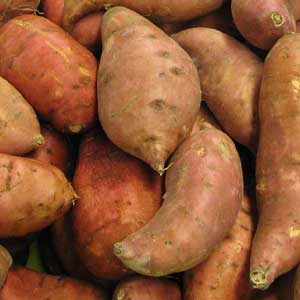 SWEET POTATO