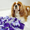 Snuffle Mats (12")