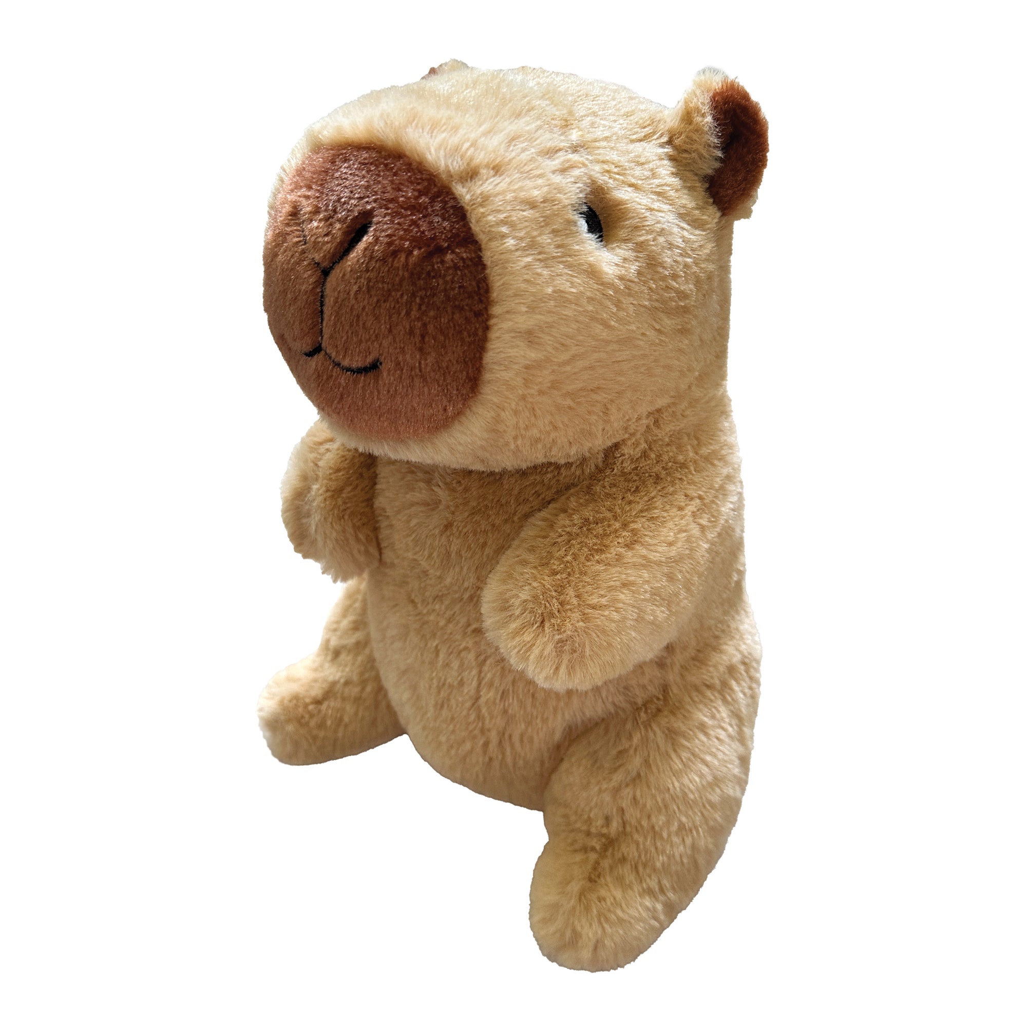 Capybara Plushies (6-11")