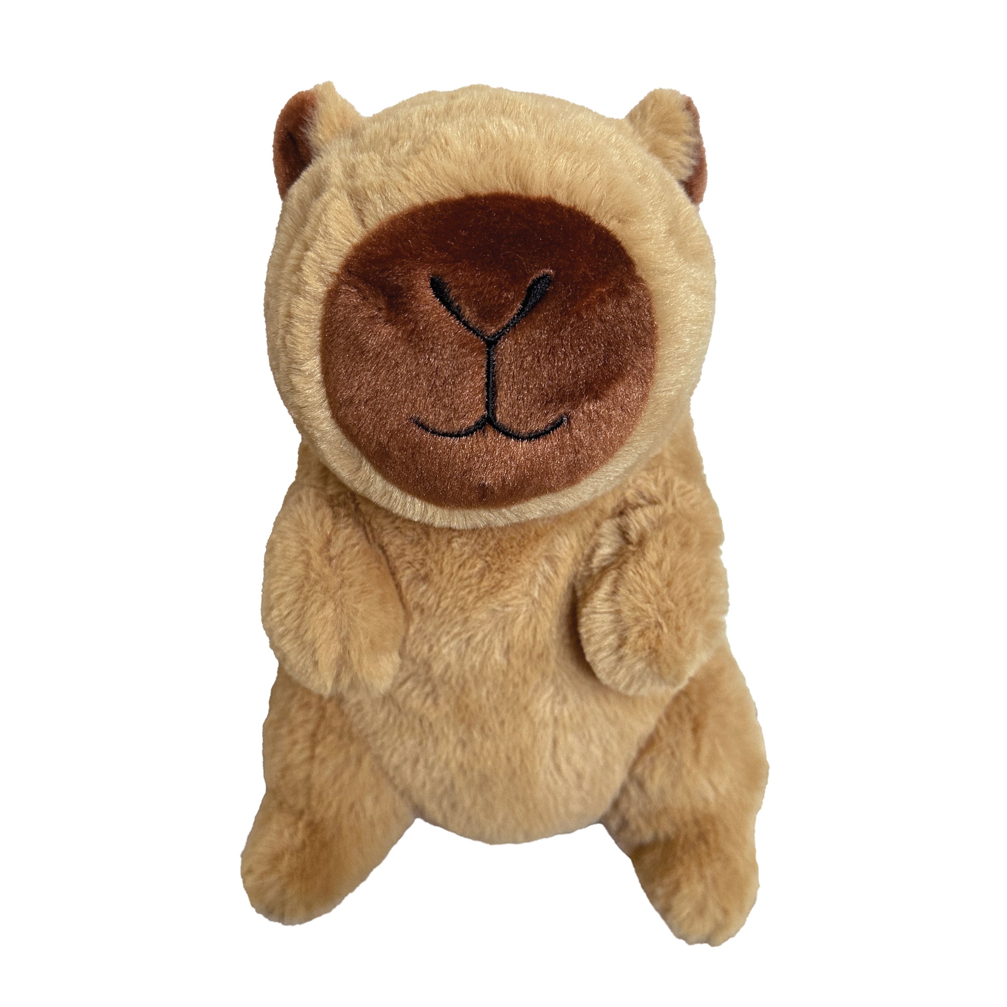Capybara Plushies (6-11")