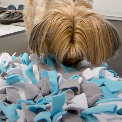 Snuffle Mats (12")