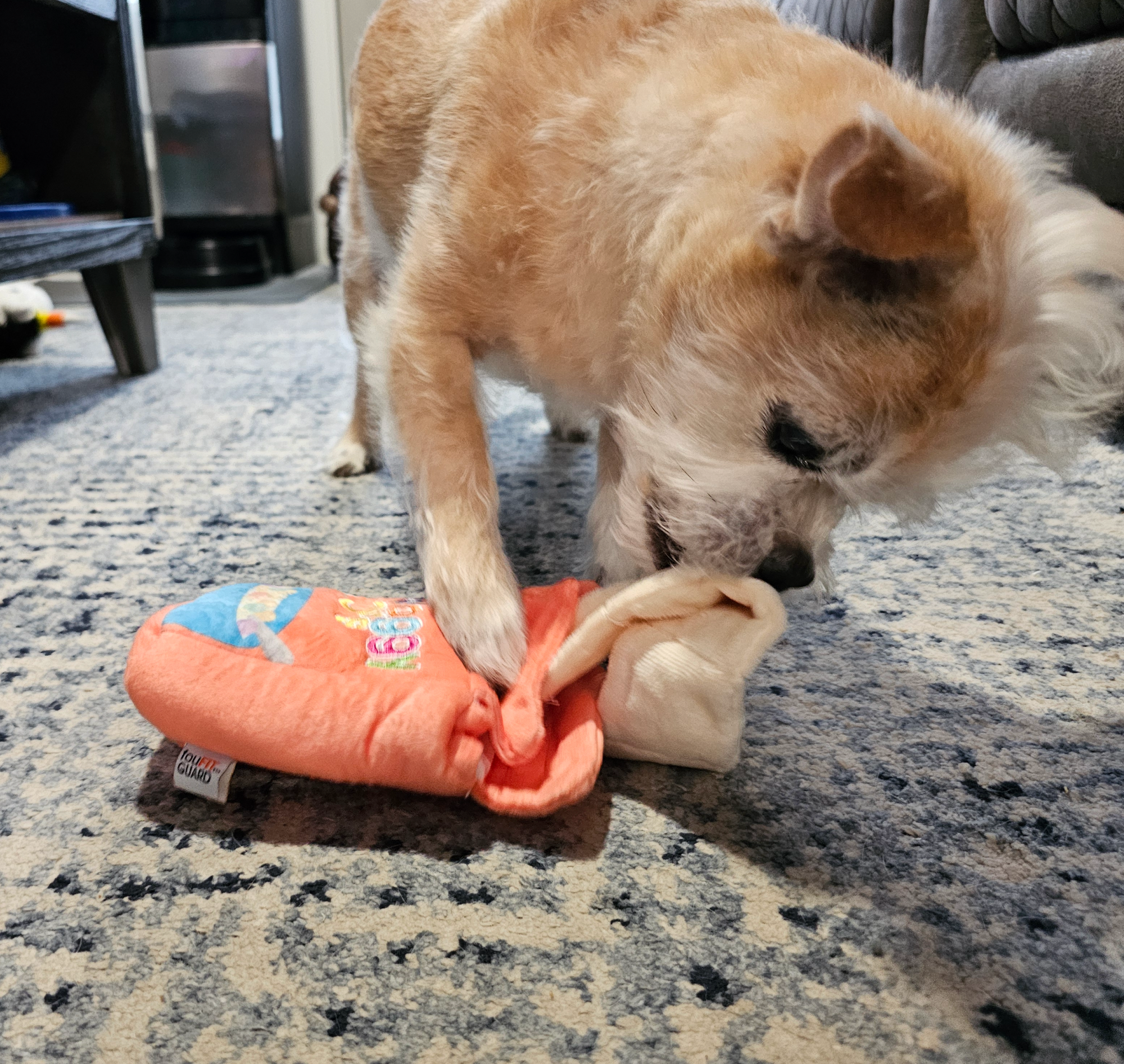 Hide 'n Seek Yummy Nosework Toy - Waggy 'Os Cereal (6")
