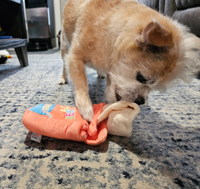 Hide 'n Seek Yummy Nosework Toy - Waggy 'Os Cereal (6")