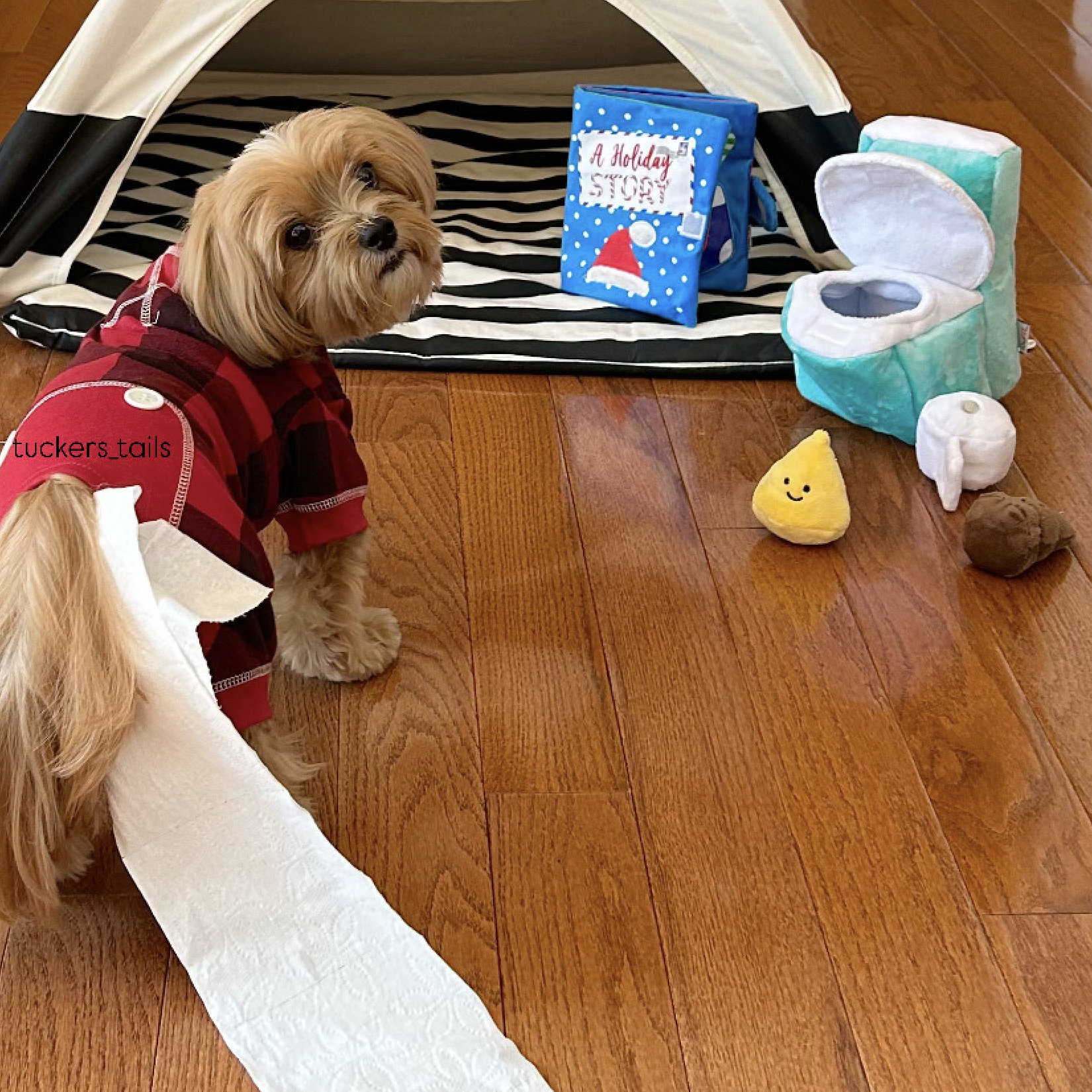 Hide 'n Seek Potty Time Burrow Toy (9")