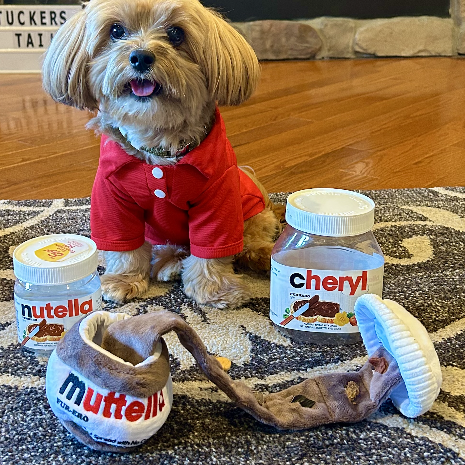 Hide 'n Seek Yummy Nosework Toy - Muttella (4")