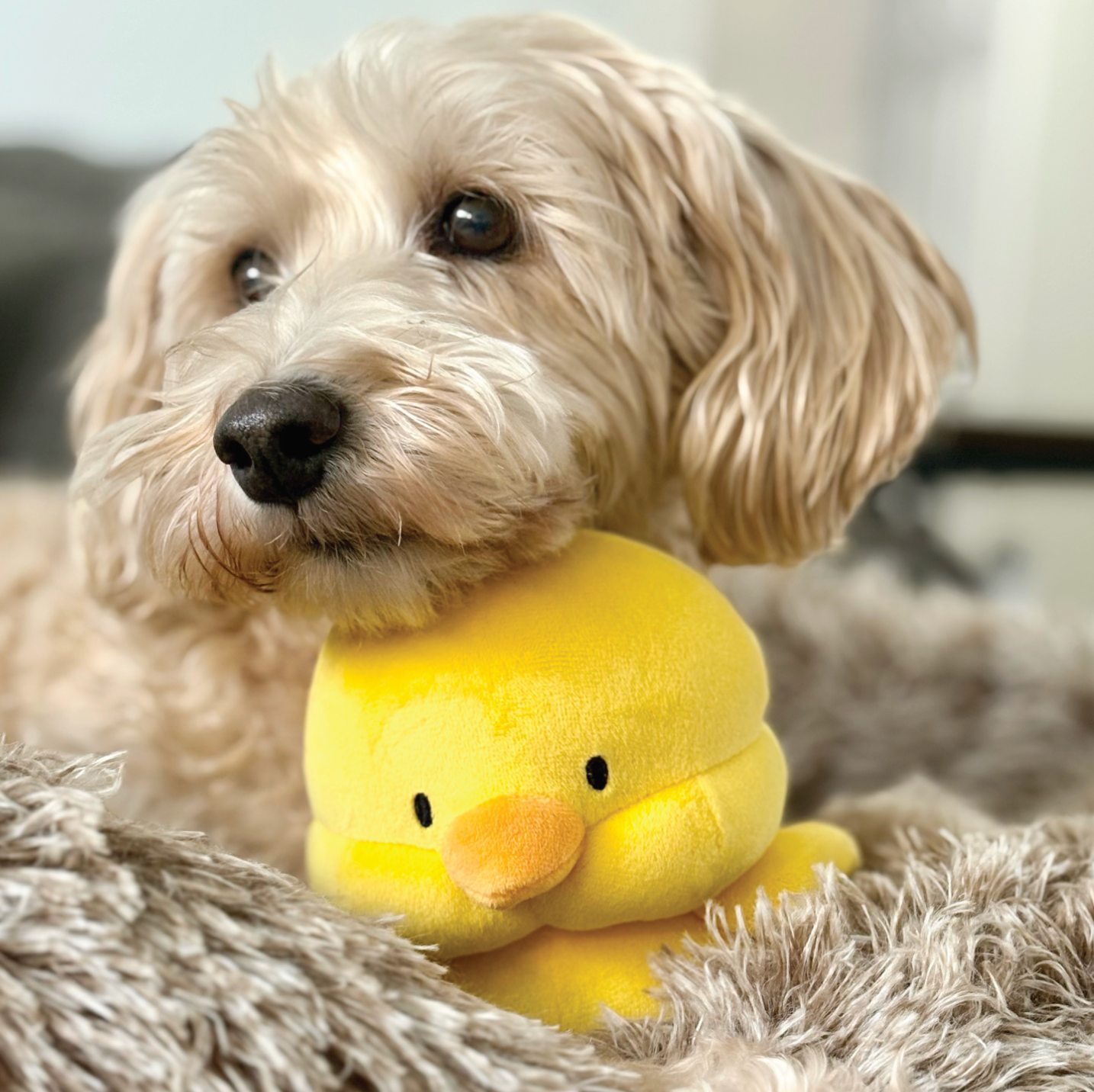 Marshmallow Squishers (6")