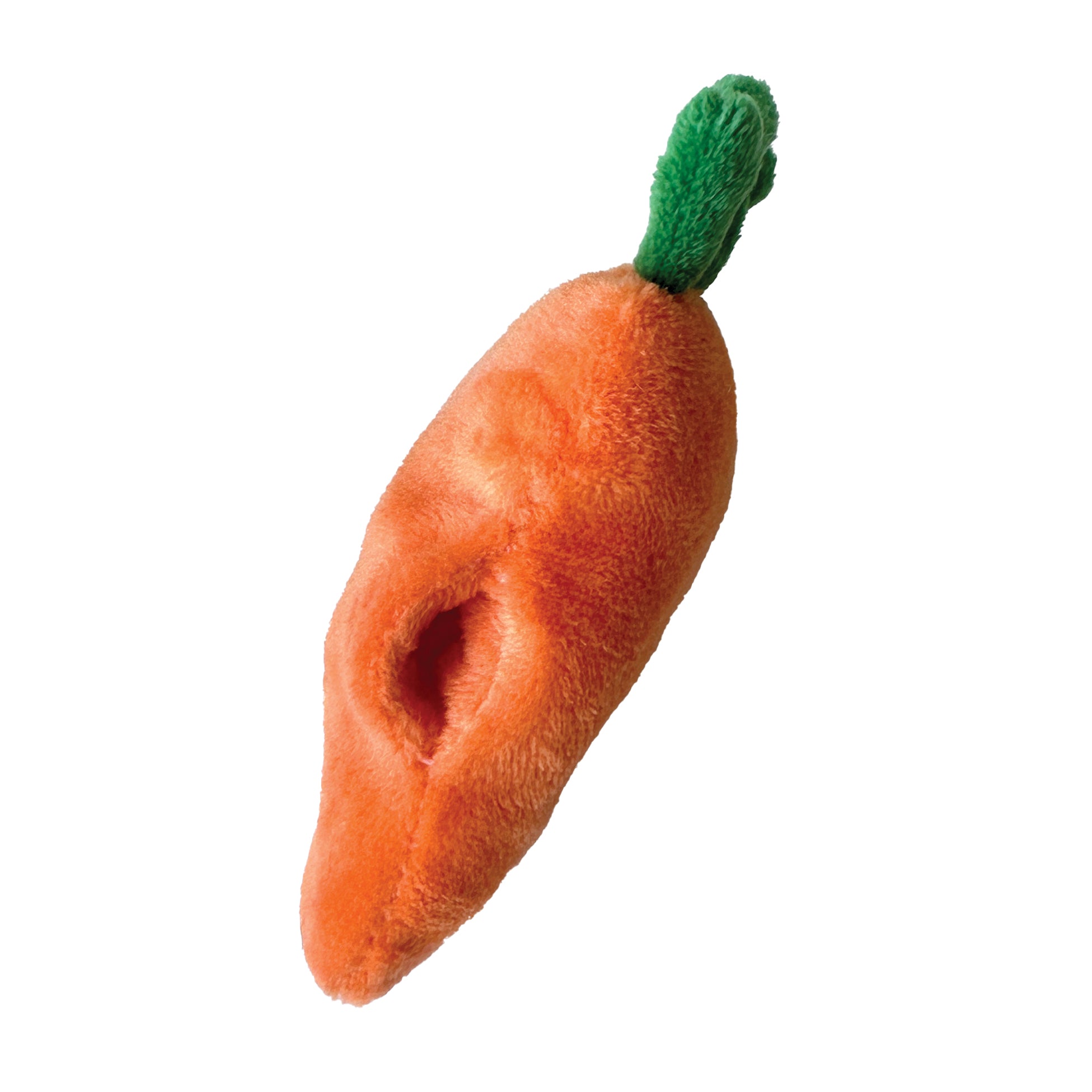 Hide 'n Seek Turkey Burrow Toy (9")