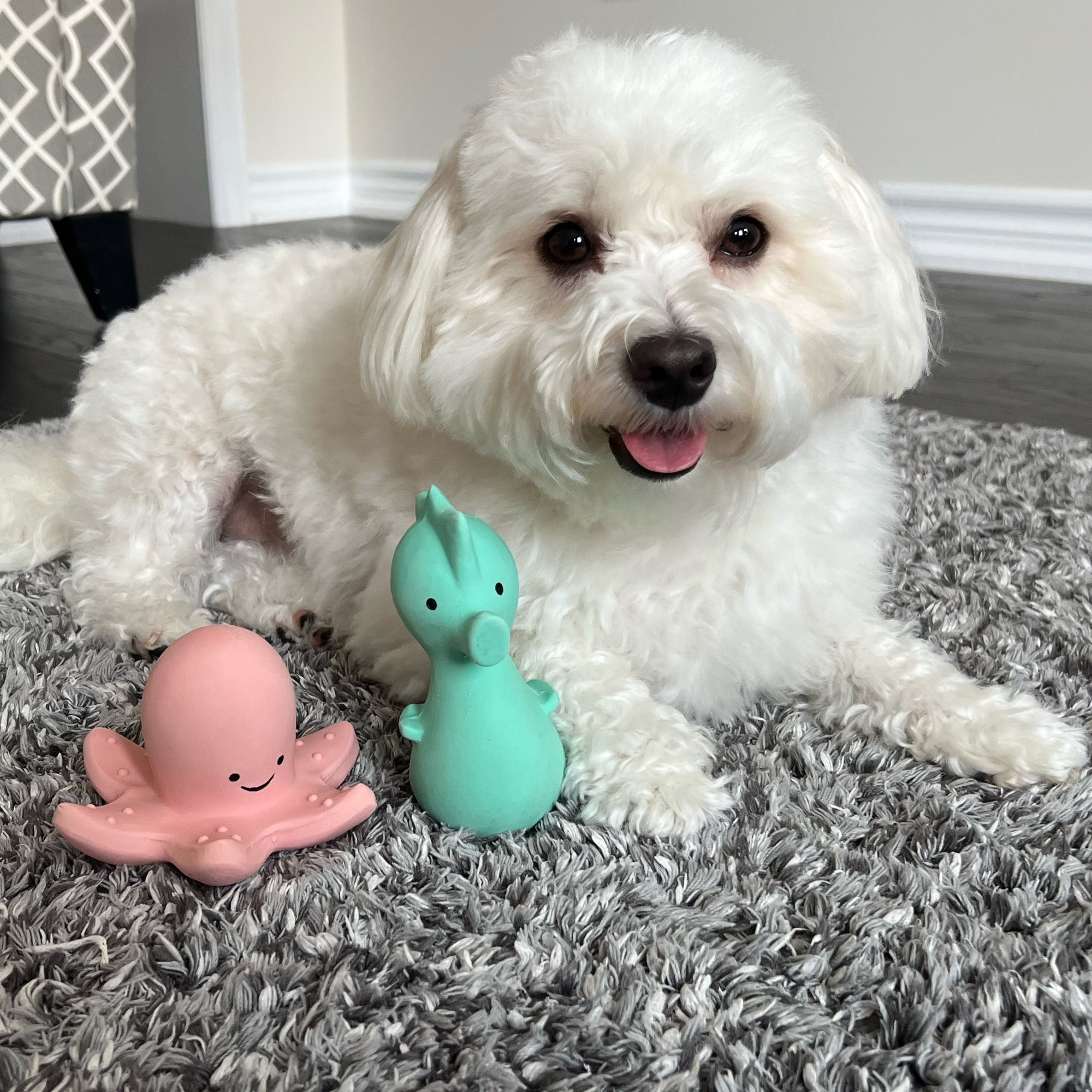 Zoo Chew 3 Latex Toys (3 - 4.5")