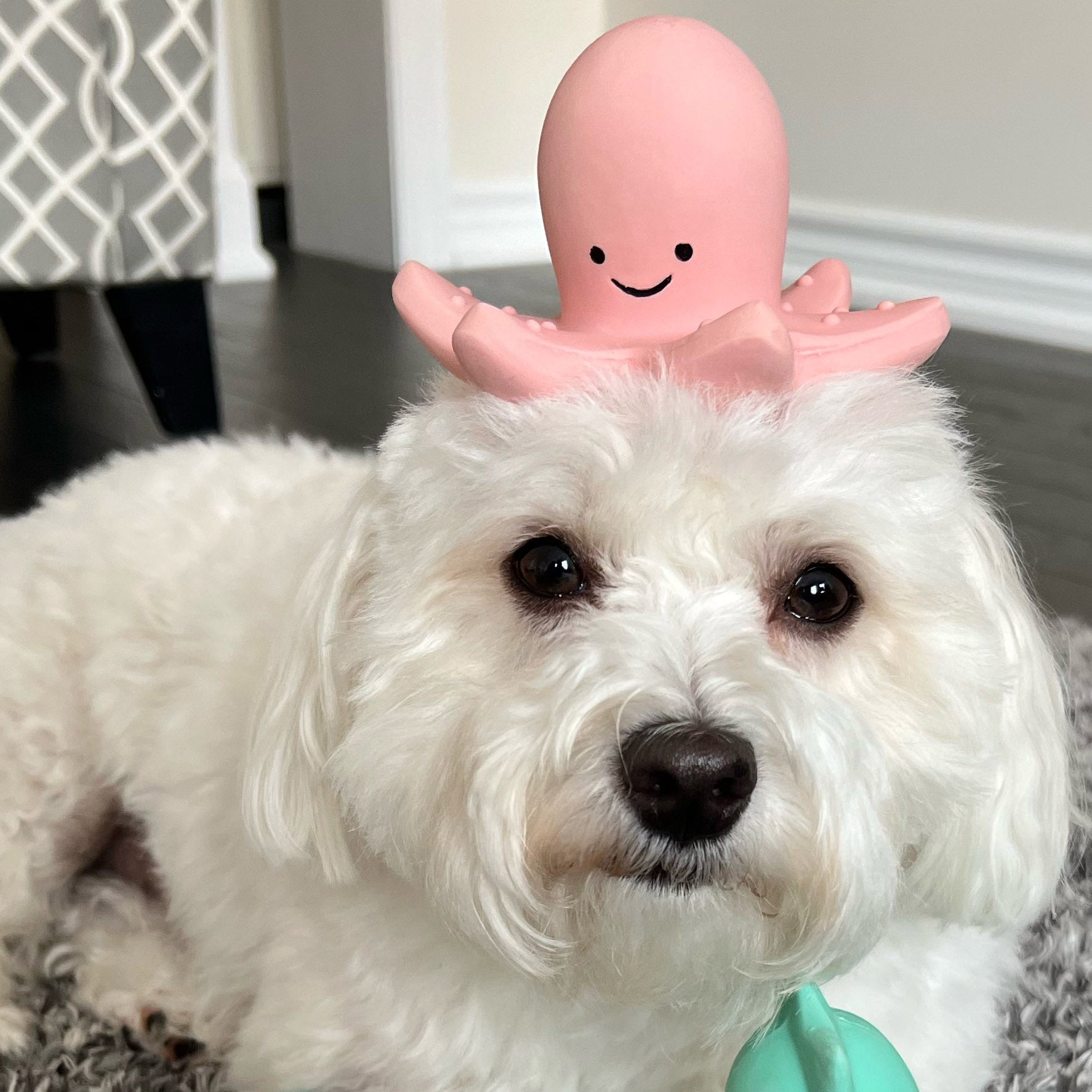 Zoo Chew 3 Latex Toys (3 - 4.5")