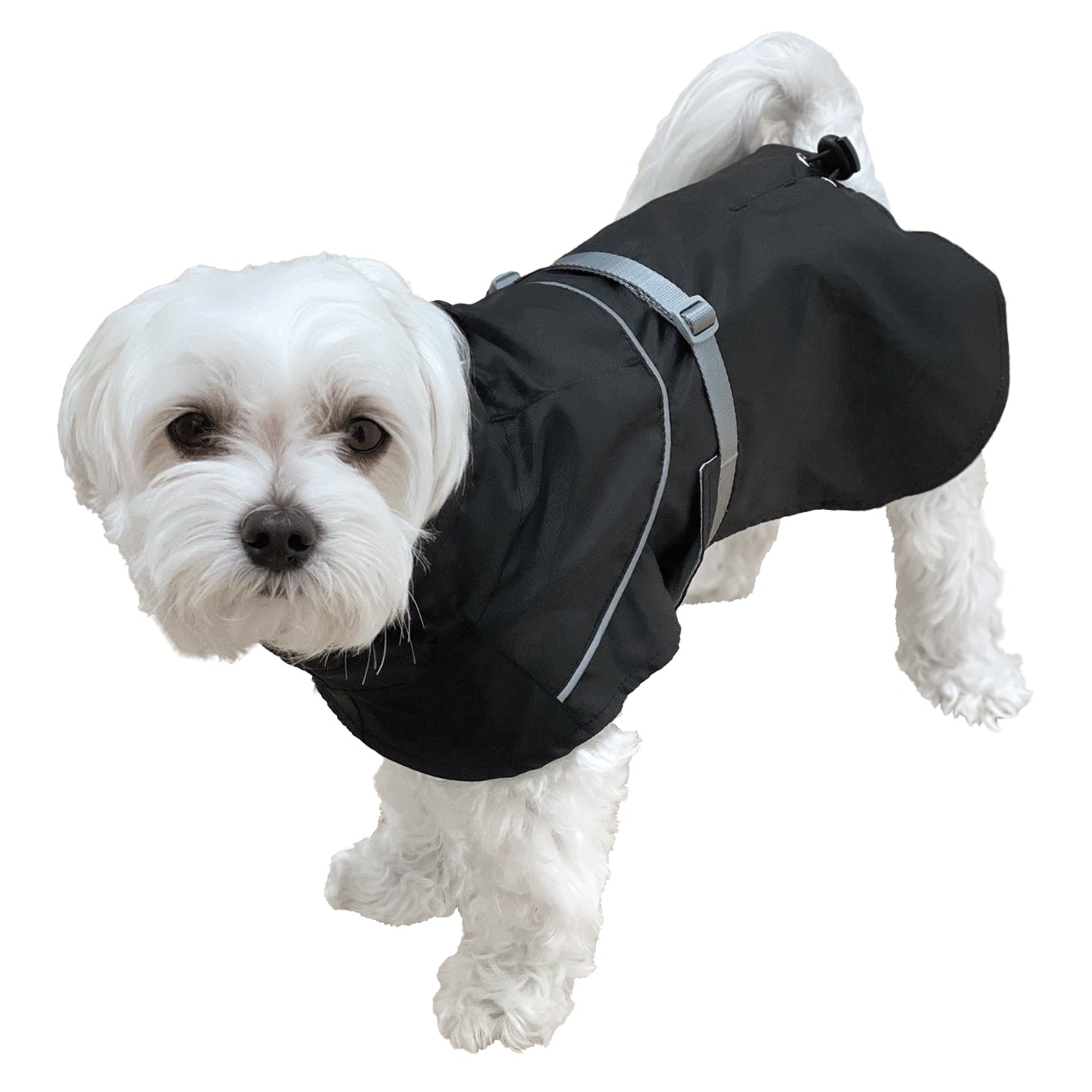 Bodyguard All-Weather Coat