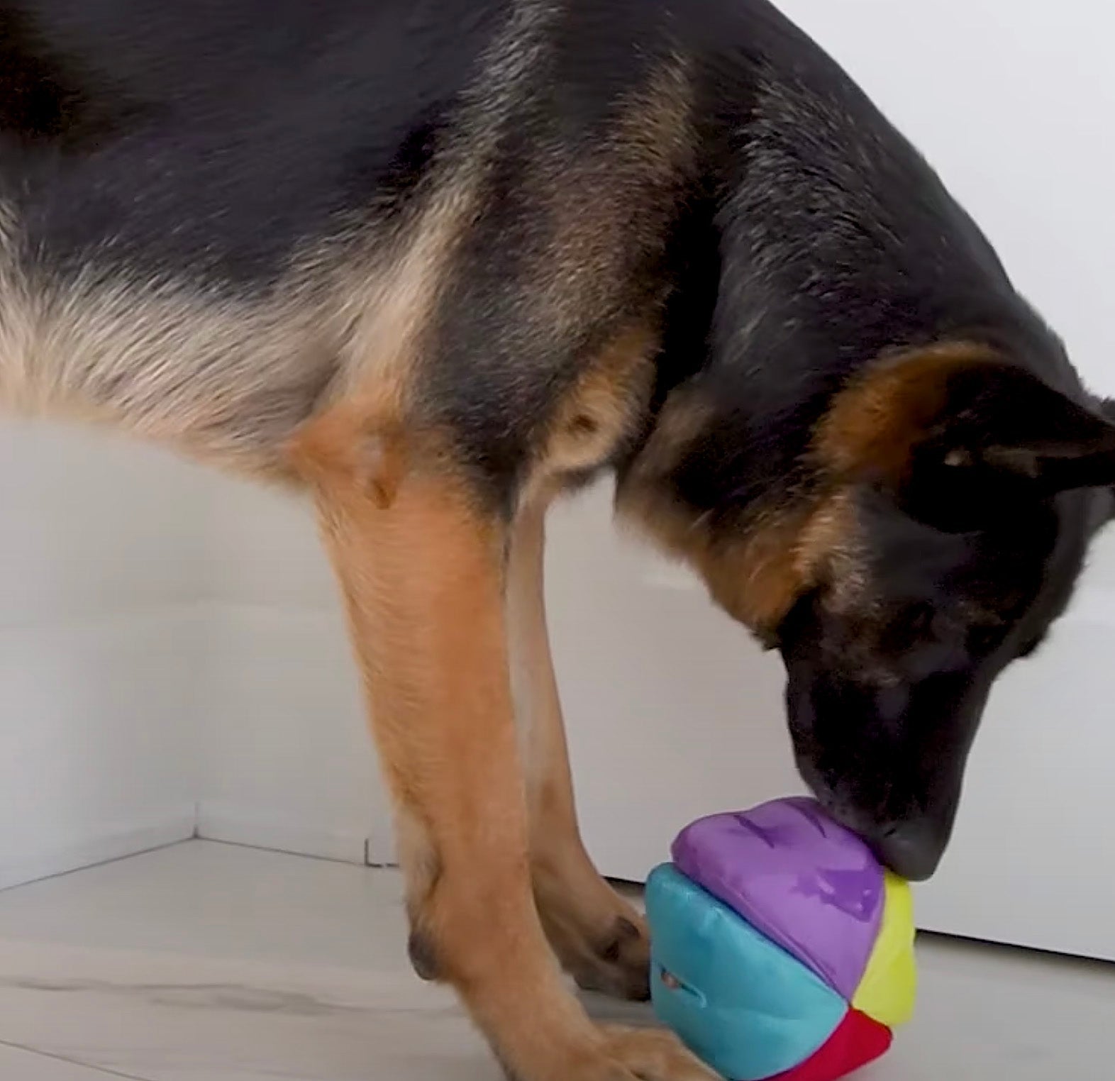 Hide 'n Seek Ball (6")