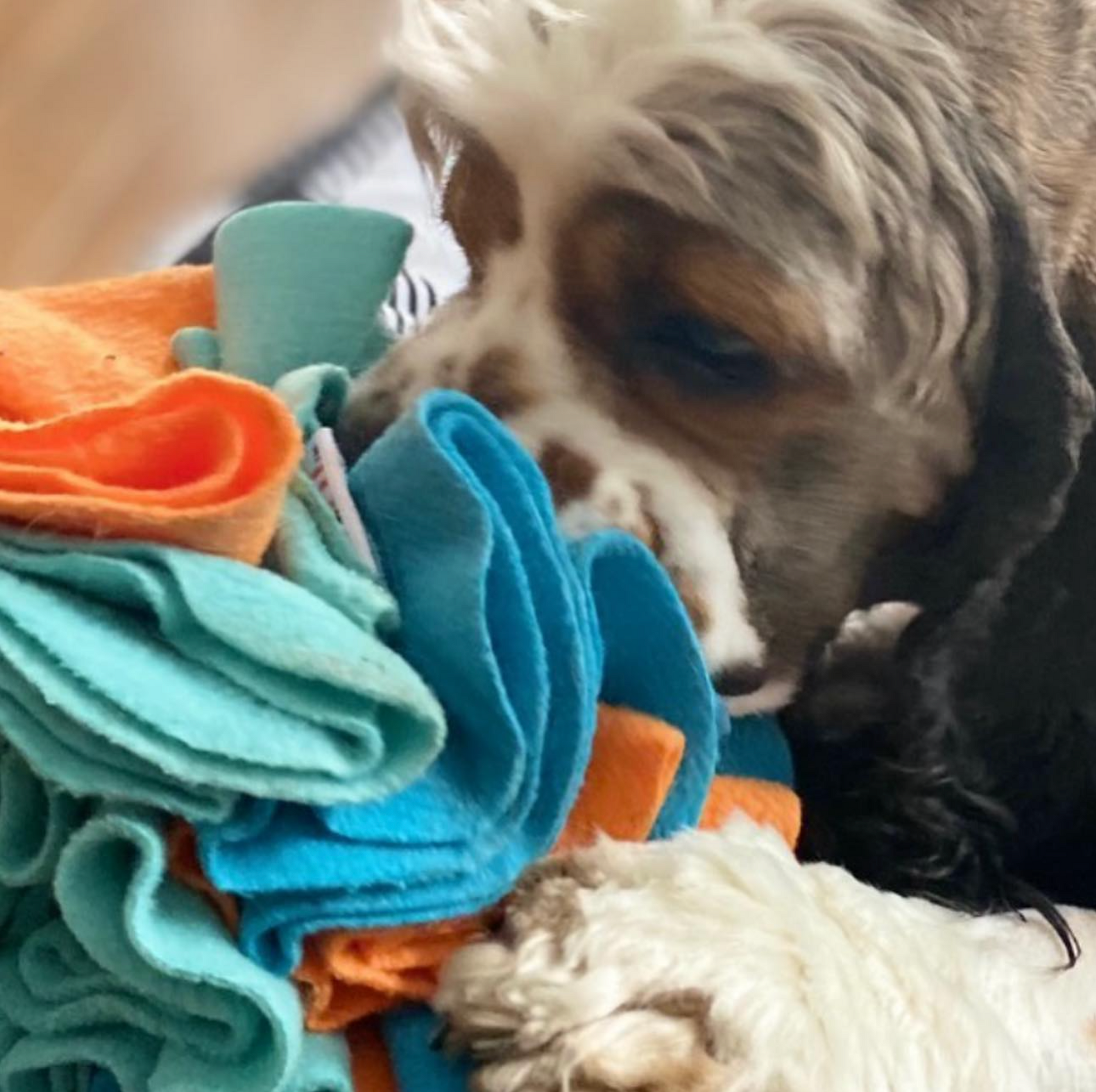 Hide 'n Seek Snuffle Balls (4-6")