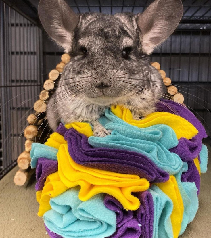 Hide 'n Seek Snuffle Balls (4-6")